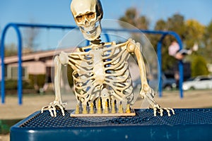 Skeleton playing chess