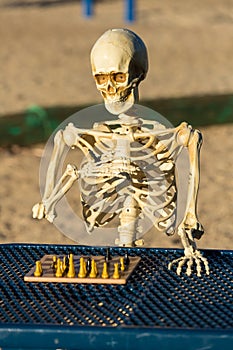 Skeleton playing chess on a picnic bench