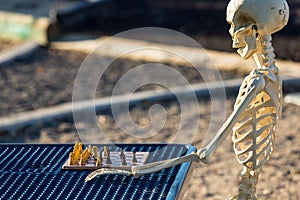 Skeleton playing chess on a picnic bench