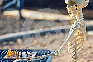 Skeleton playing chess on a picnic bench