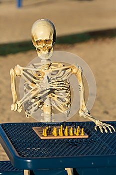 Skeleton playing chess on a picnic bench