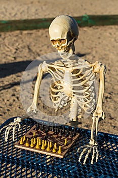 Skeleton playing chess