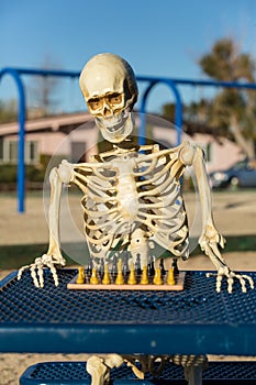 Skeleton playing chess