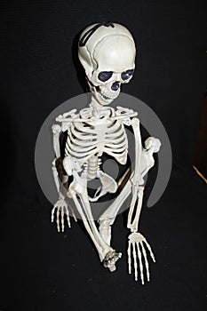 Skeleton poses, halloween, in the dark yoga