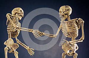 Skeleton shaking hands