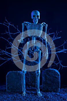 Skeleton standing at the graveyard