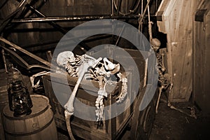 Skeleton in vintage coffer