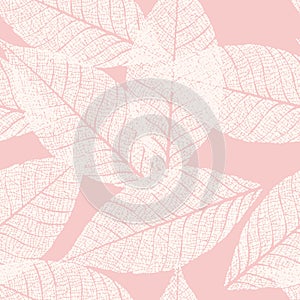Skeletonized leaves seamless
