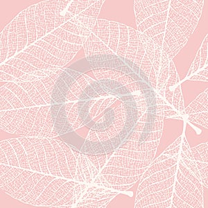 Skeletonized leaves seamless