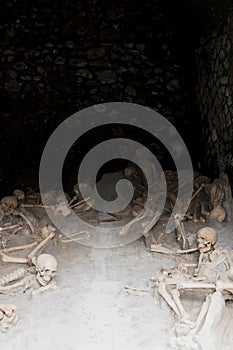 Skeletons in Boat Sheds, Herculaneum Archaeological Site, Campania, Italy photo