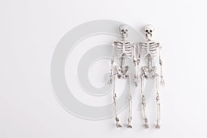 Skeletons on a white background. Couple