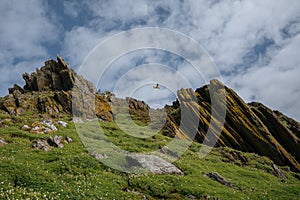 skellig micheal rock formations