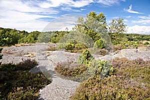 Skerry Landscape of Flatoen, Sweden