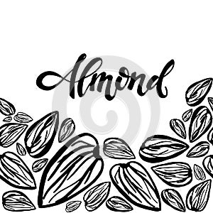 Sketch almonds pattern on white background