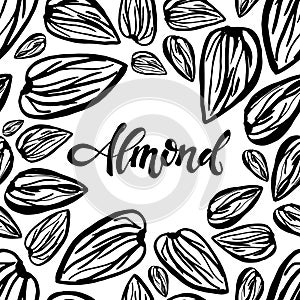 Sketch almonds pattern on white background