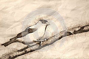 Sketch of American Goldfinch Perched on a Branch