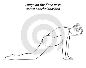 Sketch of Ashva Sanchalanasana