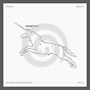 Sketch of astrological zodiac Monoceros Unicorn