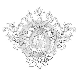 Skica z krásný lotosy v ladný ozdoba na bílý 
