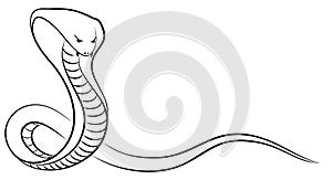Sketch of a snake.