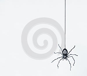 Sketch of a black spider drawn in black china dangling