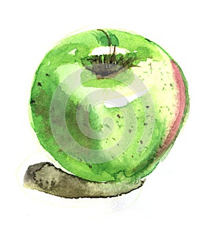 Sketch of A brilliant ripe green apple with a reddish side. Real