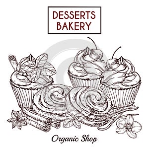 Sketch of buns and cakes and spices, desserts bakery vector background