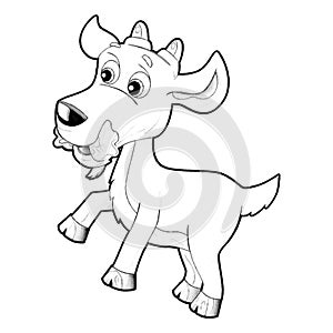 sketch cartoon scene with funny looking farm goat smiling illustration for children