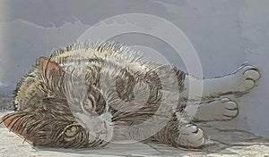 Sketch of a cat lying on the floor. Vector illustration.