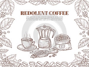 Sketch coffee banner. Bean leaf ornament, retro plants and branch poster. Hot drink cup, arabica grains plantation