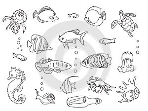 Sketch collection of marine inhabitants.