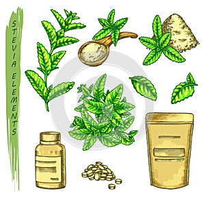 Sketch of colorful stevia plant, scoop and pack