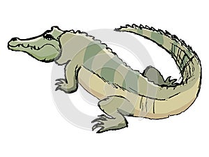 Sketch of crocodile