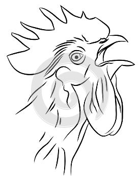 Sketch of a Crowing Rooster