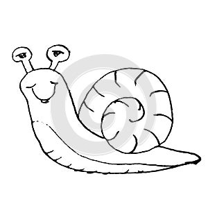 Sketch, cute snail with big eyes, coloring book, cartoon illustration, isolated object on white background,