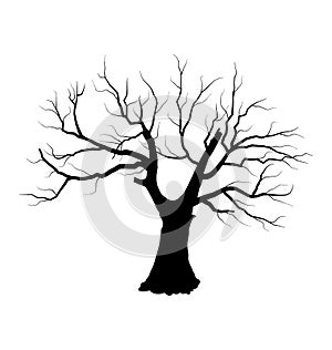 Sketch of dead tree without leaves , isolated on w