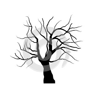 Sketch of dead tree without leaves , isolated on white background