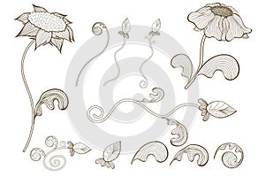 Sketch decorative plants and flowers collection. Hand drawn vintage vector design elements.