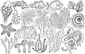 Sketch of deepwater living organisms, fish and algae. Black and white