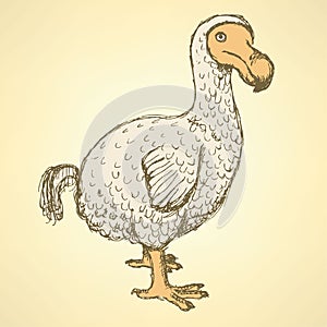 Sketch dodo bird in vintage style