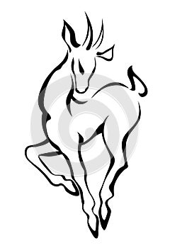 Sketch of doe