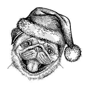 Sketch Dog Pug in Santa Claus hat.