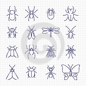 Sketch drawing line insect icons collection photo