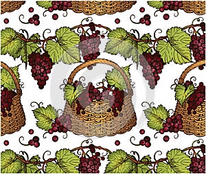 Sketch drawing pattern of red bunch of grapes with green leaves in basket isolated on white background.