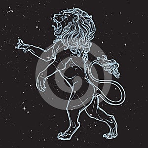 Sketch drawing of rearing lion isolated on nightsky background.