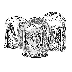 Sketch Easter cake. Hand drawn Easter bread, kulich. Ink illustration
