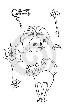 Sketch of festive elements for Halloween. Keys to the chest, cobweb, pumpkin, two spiders, cat.