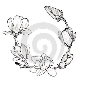 Sketch Floral Botany wreath. Magnolia flower drawings. Black and white with line art on white backgrounds