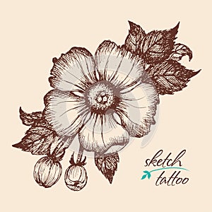 A sketch of a flower in vintage style.