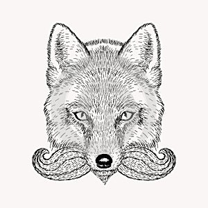 Sketch fox with a beard and moustache. photo
